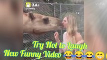 New funny videos 2020 || Viral funny videos || Zilli Funny Video || Top comedy video || Hindi funny videos || Funny pranks