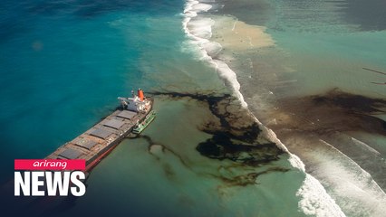 Japan sending disaster relief team to Mauritius over fuel leakage after ship ran aground