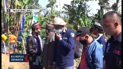 Pertanian Pengembangan Bawang Putih Perhatikan Konservasi Alam