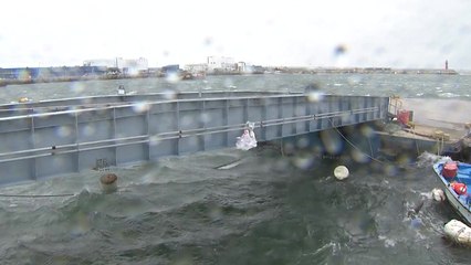 [날씨] 오늘 태풍 '장미' 남해안 상륙...최고 250mm 비바람 / YTN