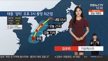 [날씨] 남부지방 최고 150mm 폭우…태풍 '장미' 북상 중