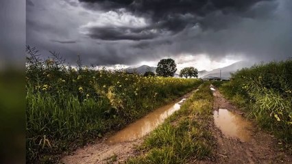 Best Meditation Music ever, For Peace Of  Soul , Feel The Peace