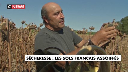 Sécheresse : les sols français assoiffés