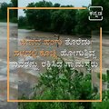 Watch How Villagers Saved 5 People Who Were Being Washed Away Into Rain Water In Kalaburgi