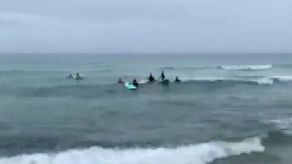 태풍 특보 속 '서핑' 즐긴 6명 적발...과태료 부과 / YTN