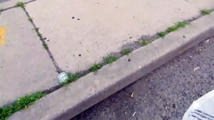 PinePowerLI Said He Was Harassed By A Homeless Person