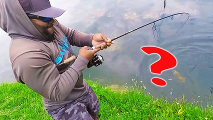 BIG FISH Fishing on Light Line.  Trying to Break the World Record !!!