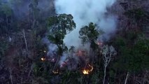 El Amazonas ha sufrido 6000 incendios en lo que llevamos de agosto