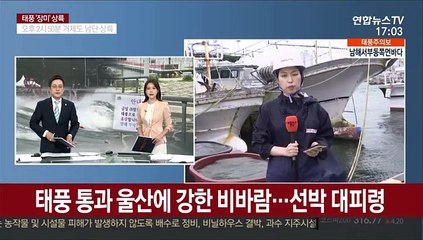 태풍 통과 울산에 강한 바람…선박 대피령