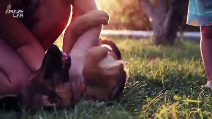 Dogs Do This Very Similar Thing That Humans Do Every Day