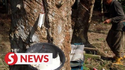 About 0.8% of rubber production used to build rubberised roads in 2019