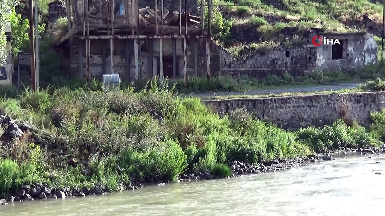 Yavruları ölen anne ördeğin annelik duygusu