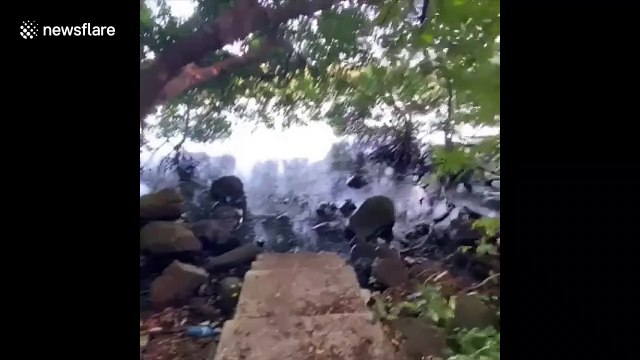 Environmental damage as Wakashio oil spill reaches coast of Mauritius