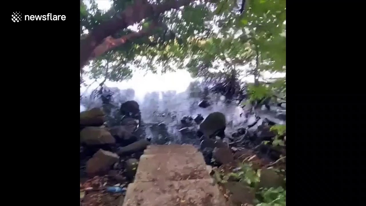 Environmental damage as Wakashio oil spill reaches coast of Mauritius