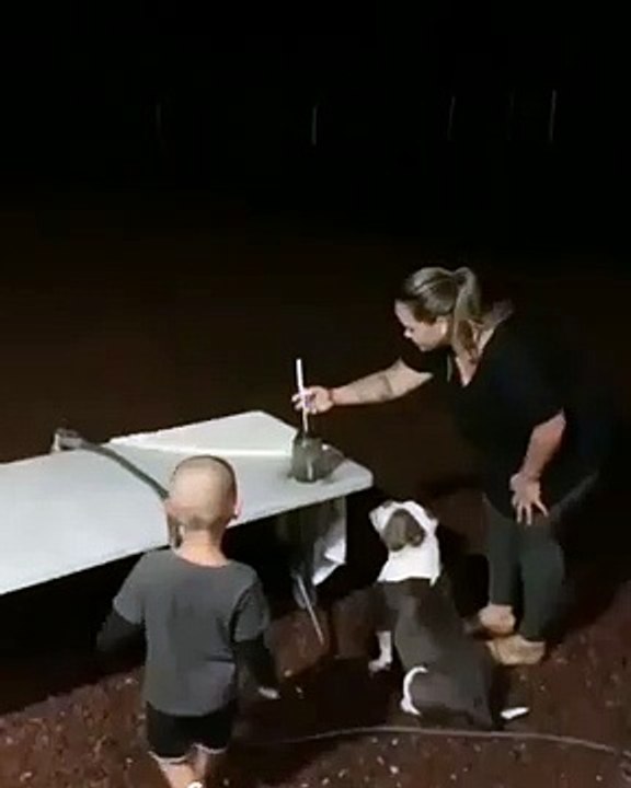 Un chien se prend pour un feu d'artifice