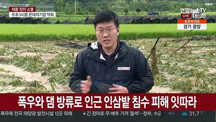 "또 잠길라"…인삼밭 침수 금산, 연일 호우에 걱정
