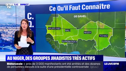 Français tués au Niger: que s'est-il passé ? - 10/08