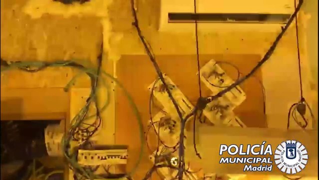 Intervenida una plantación de marihuana en pleno distrito de Puente Vallecas