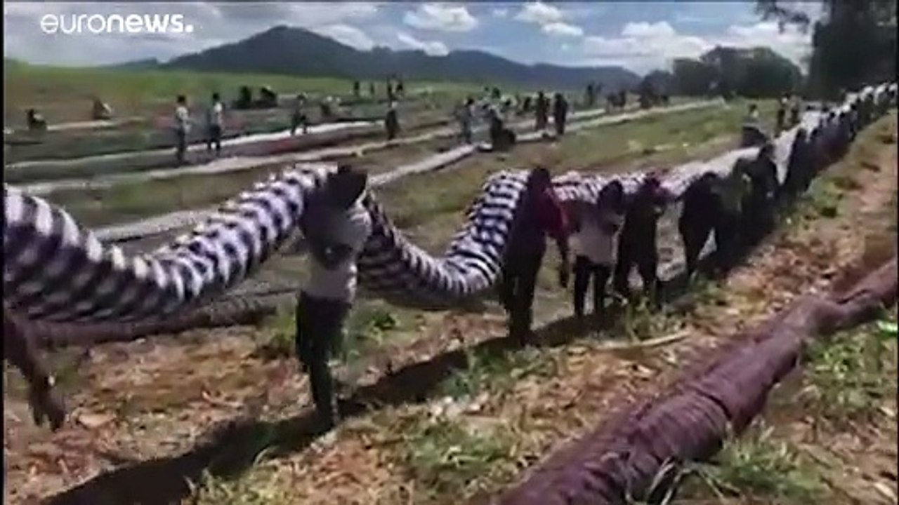 Umweltkatastrophe in Mauritius: Schuld ist 'Abhängigkeit vom Öl'