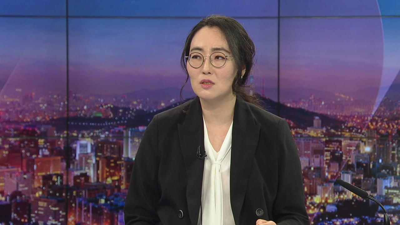 [뉴있저] 대북단체 출신 변호사 "전단 살포는 돈벌이...성폭행 만연" / YTN