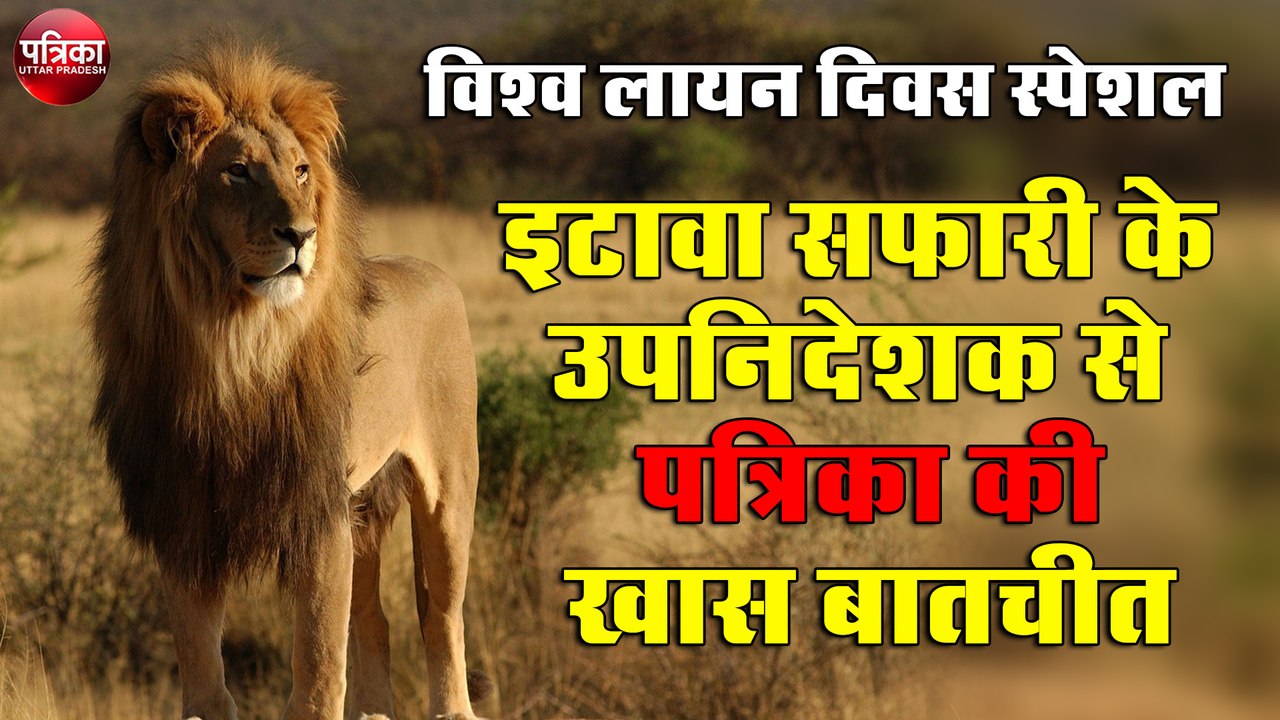 विश्व लायन दिवस पर इटावा सफारी के उपनिदेशक से पत्रिका की खास बातचीत