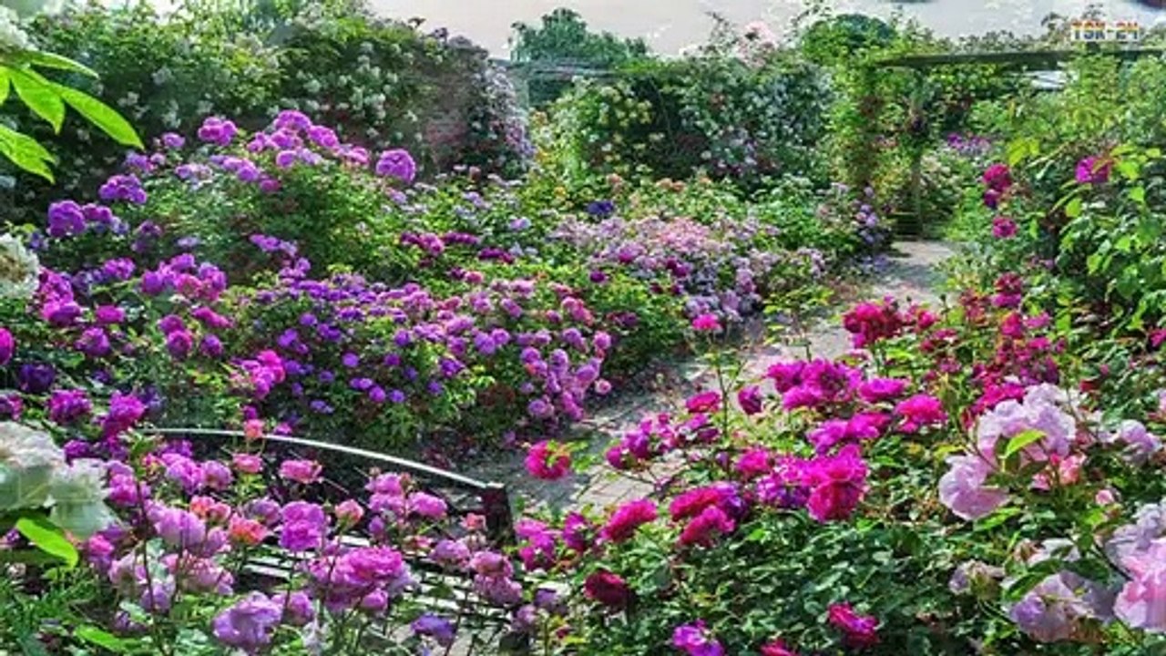 The Most Beautiful Flower Fences Around The House