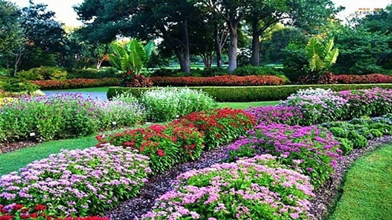 Beautiful flower gardens ideas - Beautiful House