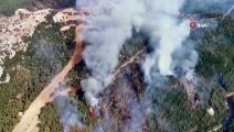 Menderes'te orman yangını... Yangına havadan ve karadan müdahale ediliyor