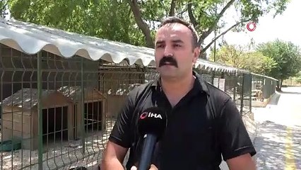 Hayvan barınağında işkence iddialarına yalanlama