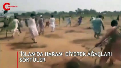 'İslam'da haram' diyerek ağaçları söktüler