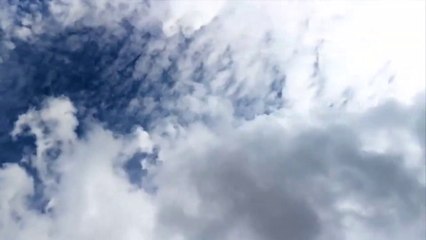 MORNING FRESH MUSIC| RELAXING MIND| POSITIVE ENERGY| STRESS RELIEF| FREEZING MUSIC