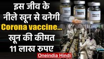 Corona Vaccine : वो जीव , जिसके 1 लीटर खून की कीमत है 11 लाख रुपए,उसे बनेगी वैक्सीन | वनइंडिया हिंदी