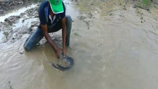 Best Hand Fishing - Smart Man Catching Big Catfish by Hand in Muddy Water | Animal Trap