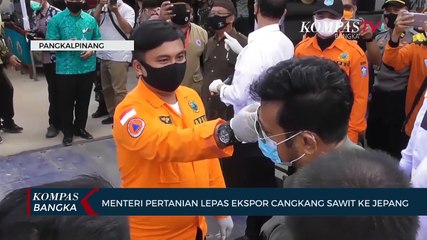 Mentri menteri pertanian lepas ekspor cangkang sawit ke jepang
