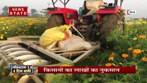 Uttar Pradesh: Lockdown के चलते मेरठ में फूलों की खेती हुई तबाह