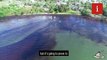 Mauritius oil spill: emergency declared as leaking tanker threatens natural habitat
