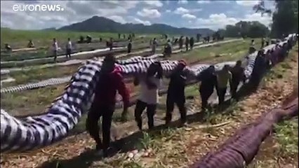 Une marée noire menace l'île Maurice, des habitants se mobilisent