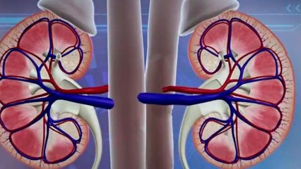 bd-riesgos-de-infeccion-en-riñones-100820