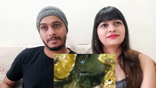 A Wild Karnataka Reaction  video __Shw_Vlog __-Zq93A3qR_j4