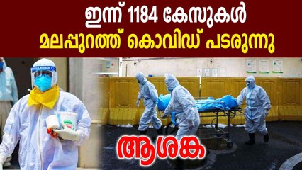 1184 new cases in kerala | Oneindia Malayalam