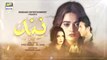 Nand Episode 4 - 10th August 2020 - ARY Digital Drama