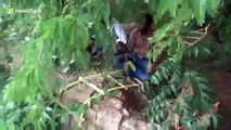 Indian man rescued after getting stuck down 70-foot well when hunting dove