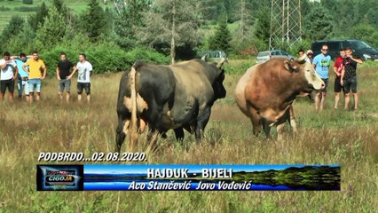 HAJDUK BIJELI PODBRDO MRKONJIC GRAD 2020