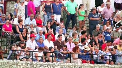 NOVILLO INDULTADO POR ALFONSO ALONSO