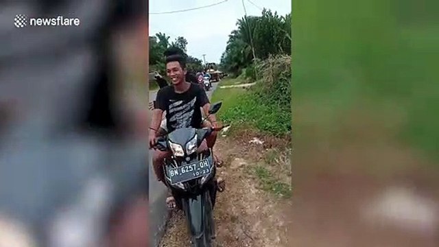 Half-tonne 'demon' crocodile carried in bulldozer and beheaded by terrified locals in Indonesia