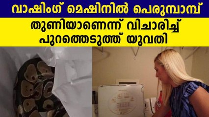 Florida Woman Finds Python In Washing Machine | Oneindia Malayalam