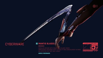 Cyberpunk 2077 - Les outils de destruction