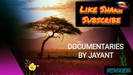 Ayodhya's Rich History & Ram Janmabhoomi 🕌