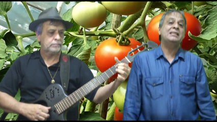 O matuto - Pierre Simões