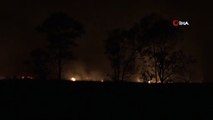 Sazlık alanda başlayan yangın şiddetli rüzgâr nedeniyle ormana sıçradı